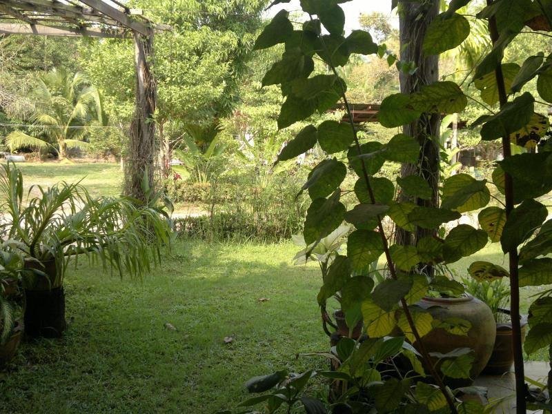 Leafy garden viewed from a covered area at Mangrove Hideaway Koh Chang